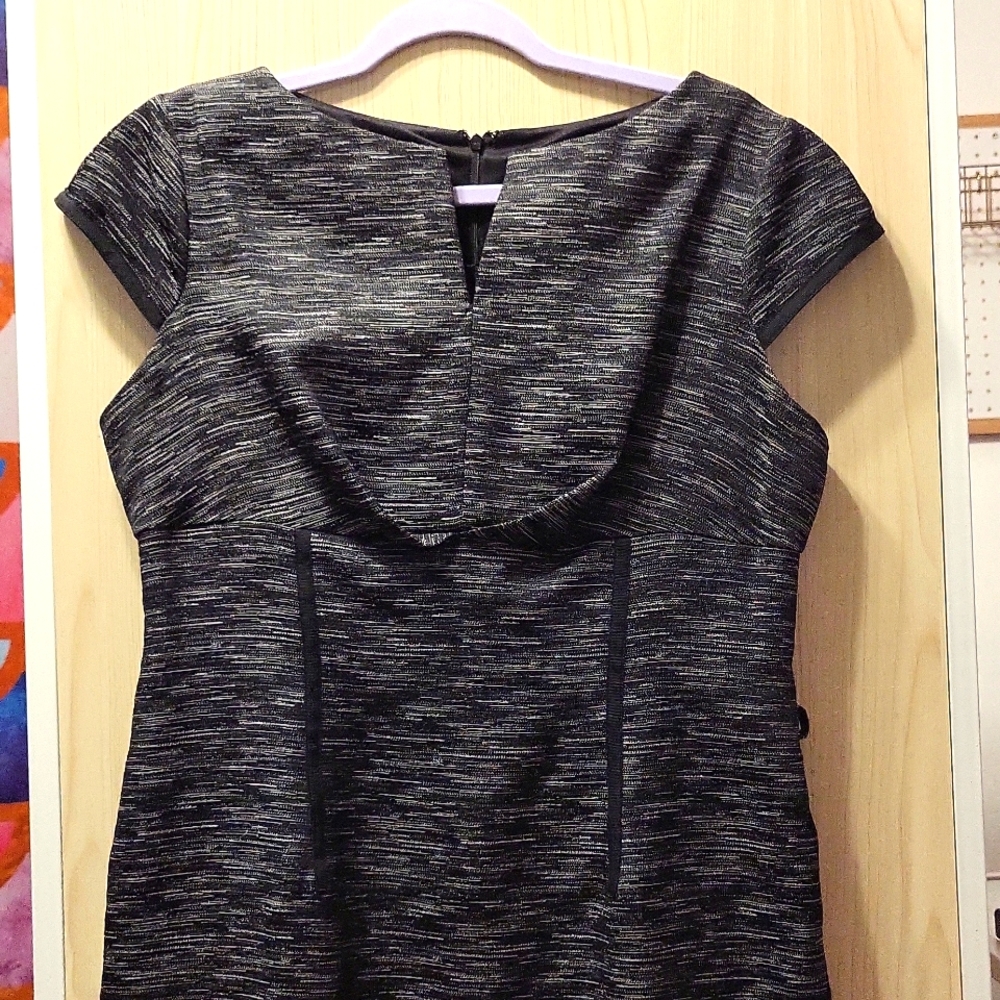 Jones studio dress/Size 14P